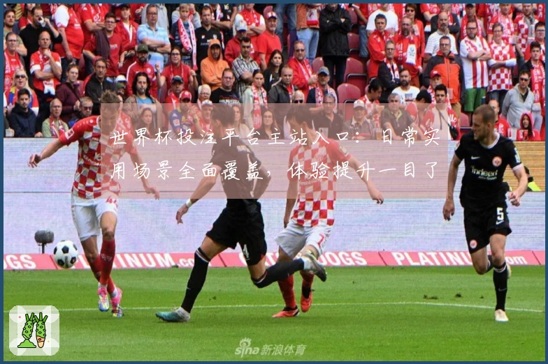 世界杯投注平台主站入口：日常实用场景全面覆盖，体验提升一目了然