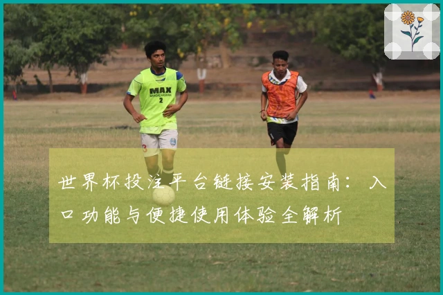 世界杯投注平台链接安装指南：入口功能与便捷使用体验全解析