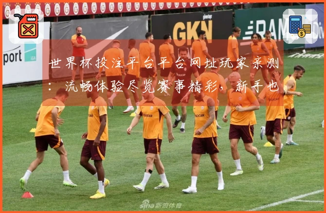 世界杯投注平台平台网址玩家亲测：流畅体验尽览赛事精彩，新手也能快速上手