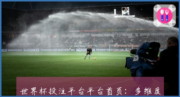 世界杯投注平台平台首页：多维度使用体验深度评测与功能详解