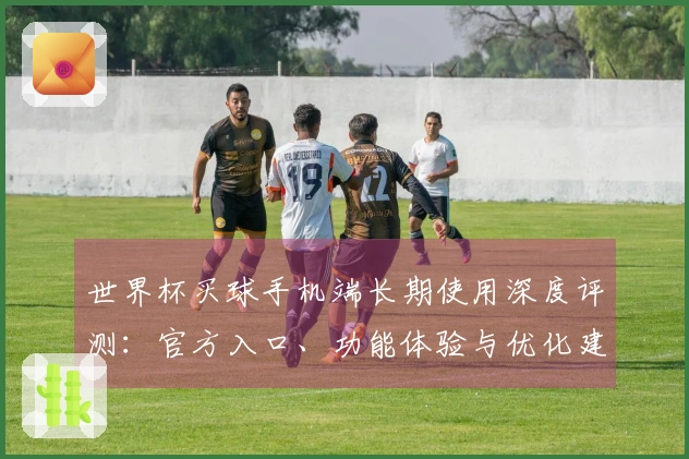 世界杯买球手机端长期使用深度评测：官方入口、功能体验与优化建议