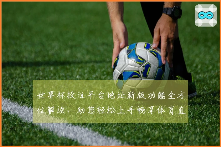 世界杯投注平台地址新版功能全方位解读，助您轻松上手畅享体育直播