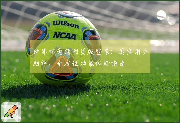 世界杯竞猜网页版登录：真实用户测评，全方位功能体验指南