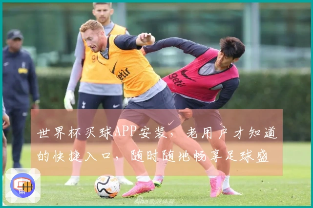世界杯买球APP安装，老用户才知道的快捷入口，随时随地畅享足球盛宴