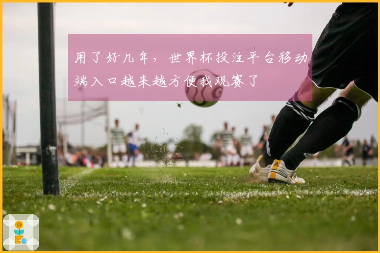 用了好几年，世界杯投注平台移动端入口越来越方便我观赛了