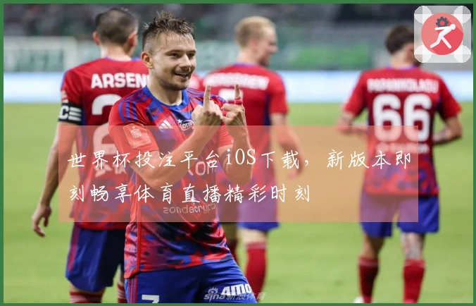 世界杯投注平台iOS下载，新版本即刻畅享体育直播精彩时刻