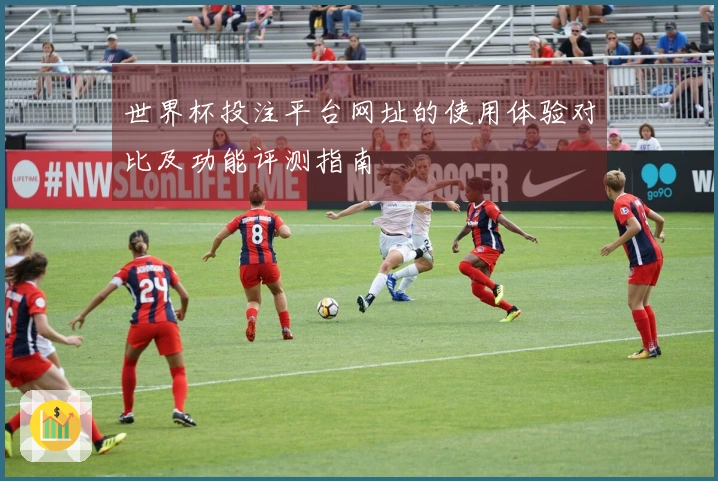 世界杯投注平台网址的使用体验对比及功能评测指南