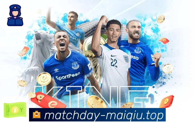 买球 Sports 官方视觉图